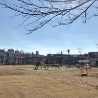 参宮橋公園の写真・動画_image_484065