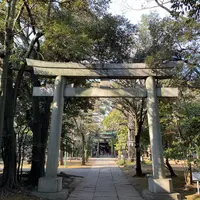 赤坂氷川神社の写真・動画_image_486224