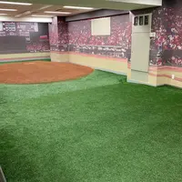 カープベースボールギャラリーの写真・動画_image_490261