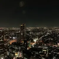 東京都庁展望室の写真・動画_image_490895