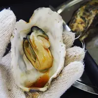 伊達なバーベキューMATSU（まつ）の写真・動画_image_491174