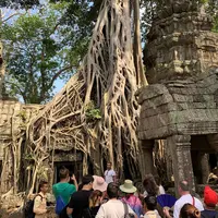 Ta Prohm（タ・プローム）の写真・動画_image_498378