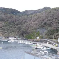 波浮港の写真・動画_image_502793