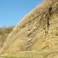 地層大切断面の写真・動画_image_502819