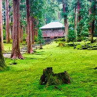 平泉寺白山神社の写真・動画_image_503387