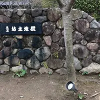 鬼石坊主地獄の写真・動画_image_506727
