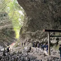 天安河原の写真・動画_image_507273