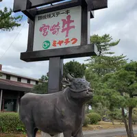 宮崎牛鉄板焼ステーキハウスミヤチクの写真・動画_image_507924