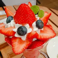 フルーツすぎ（fruit sugi）の写真・動画_image_509086