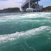 うずしお観潮船の写真・動画_image_511008