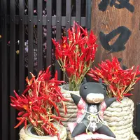 御食事処 坂口屋の写真・動画_image_512702