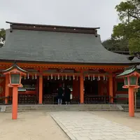 住吉大社の写真・動画_image_515133