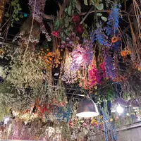 BOOMの写真・動画_image_516111