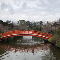 神泉苑の写真・動画_image_516115