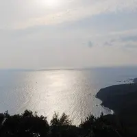 パールロードシーサイドラインの写真・動画_image_517770