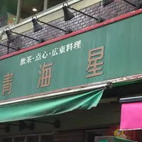 青海星の写真・動画_image_519062