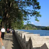 キャンディーの写真・動画_image_520461
