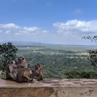シギリヤの写真・動画_image_521155