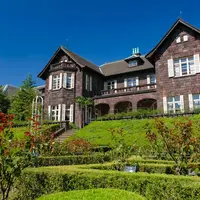 旧古河庭園の写真・動画_image_521179
