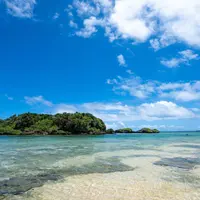 西表島の写真・動画_image_521197