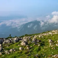 四国カルストの写真・動画_image_521908