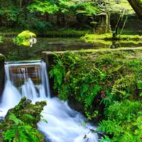 山吹水源の写真・動画_image_521914