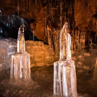 富岳風穴の写真・動画_image_522264