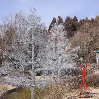 箱根ガラスの森美術館の写真・動画_image_522672