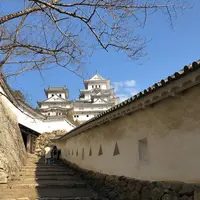 姫路城の写真・動画_image_523852