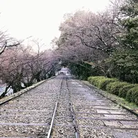 蹴上インクラインの写真・動画_image_524056