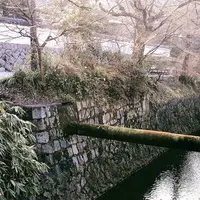 哲学の道の写真・動画_image_524059