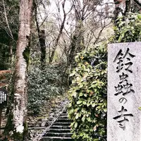鈴虫寺（華厳寺）の写真・動画_image_524251