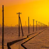 江川海岸の写真・動画_image_526877