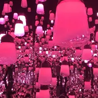 【閉業】森ビルデジタルアートミュージアム：エプソン チームラボボーダレス（MORI Building Digital Art Museum: EPSON teamLab Borderless）の写真・動画_image_527377