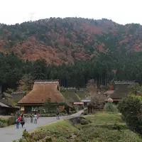 美山の写真・動画_image_528203