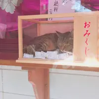 住吉神社社務所の写真・動画_image_528654