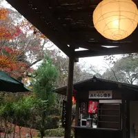 神護寺の写真・動画_image_529425