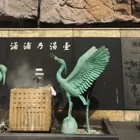 湯元の広場の写真・動画_image_530781