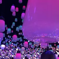 【閉業】森ビルデジタルアートミュージアム：エプソン チームラボボーダレス（MORI Building Digital Art Museum: EPSON teamLab Borderless）の写真・動画_image_532745