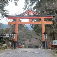 日吉大社の写真・動画_image_533720