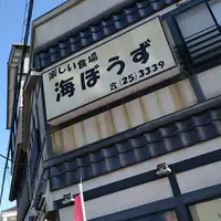 海ぼうずの写真・動画_image_535343