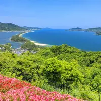 天橋立ビューランドの写真・動画_image_535553