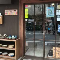 HAPPY KOALAの写真・動画_image_535878