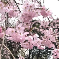 六義園の写真・動画_image_535910
