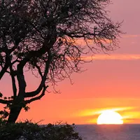 Island of Hawaii（ハワイ島）の写真・動画_image_536509