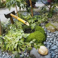 箔座 箔座ひかり藏の写真・動画_image_537231