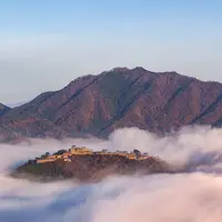 竹田城跡の写真・動画_image_537272