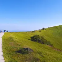 大室山の写真・動画_image_537383