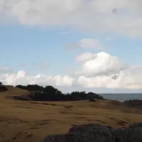 種差海岸の写真・動画_image_537858