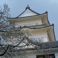 小田原城の写真・動画_image_541477